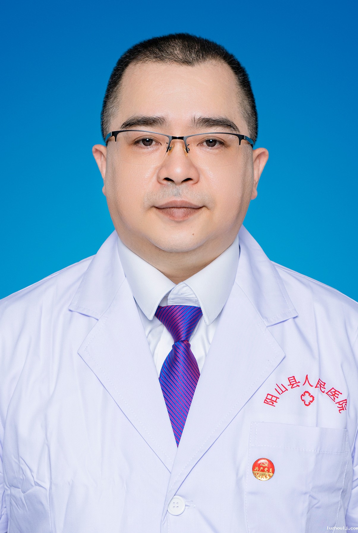 陈志强